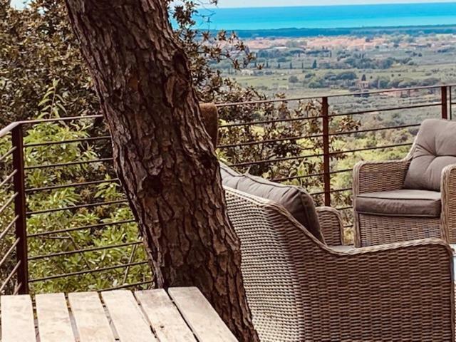 קסטנייטו קרדוצ'י Podere Il Castellaccio מראה חיצוני תמונה
